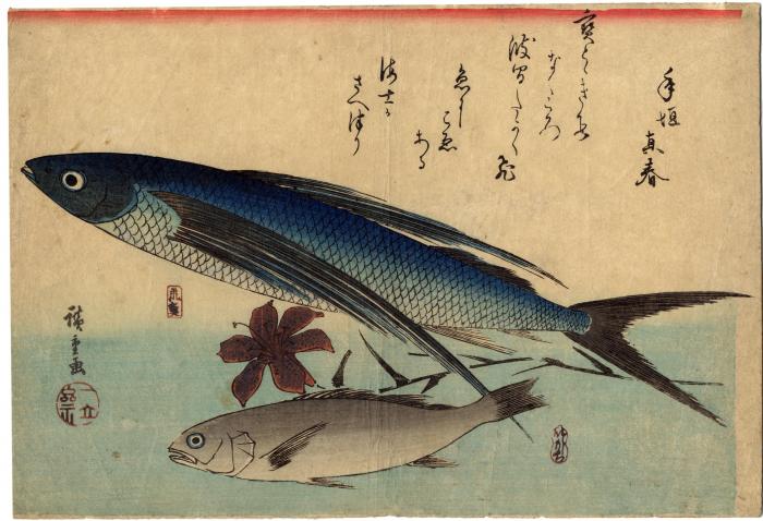 Tobiuo [飛魚] and ishimochi [石もち] and lily [百合] from the series known as the Large Fish (<i>Uozukushi</i> [魚尽くし])