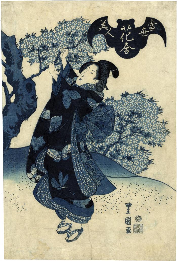 <i>Aizuri-e</i> of a <i>bijin</i> reaching up to grab a branch of a flowering cherry tree, from the series <i>Beauties of the Latest Fashion Compared with the Beauty of Flowers</i> (<i>Tōsei bijin hana-awase</i> - 當世美人花合)